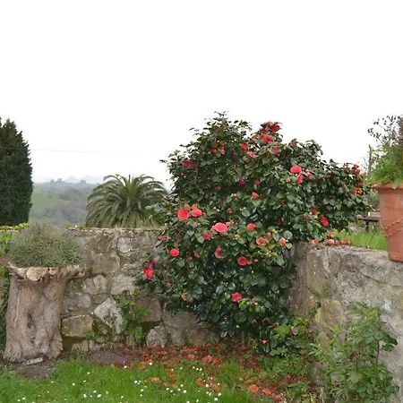 Casa Rural Noriega Entre Oyambre Y Comillas * Larteme