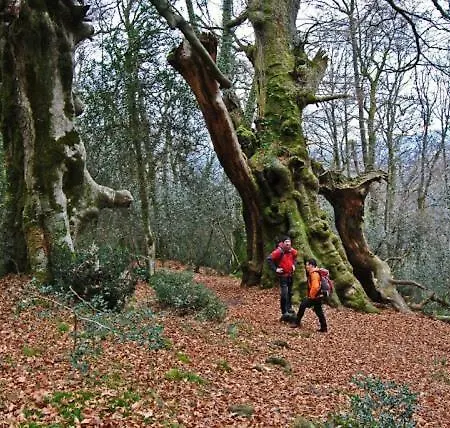 컨트리하우스 Casa Rural Noriega Entre Oyambre Y Comillas